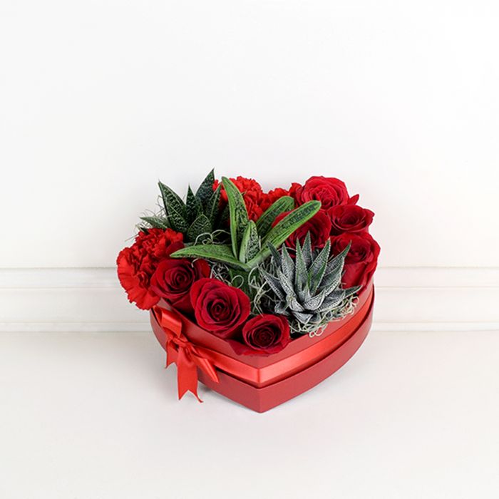 Valentine's Day Rose and Potted Plants – how the gift is presented