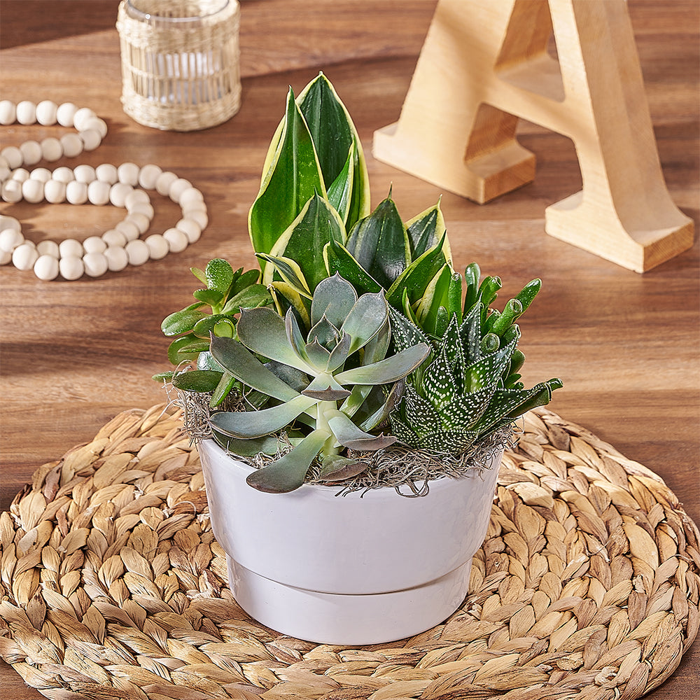 Succulent and Greenery Planter – how the gift is presented