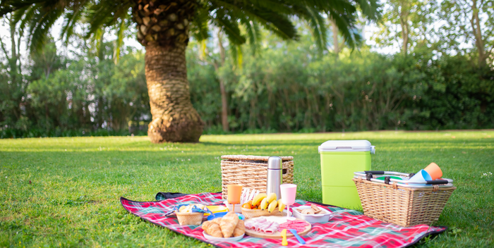How to Create a Beautiful Mother’s Day Picnic