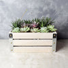 Amesbury Succulent Crate from Philadelphia Baskets - Philadelphia Delivery