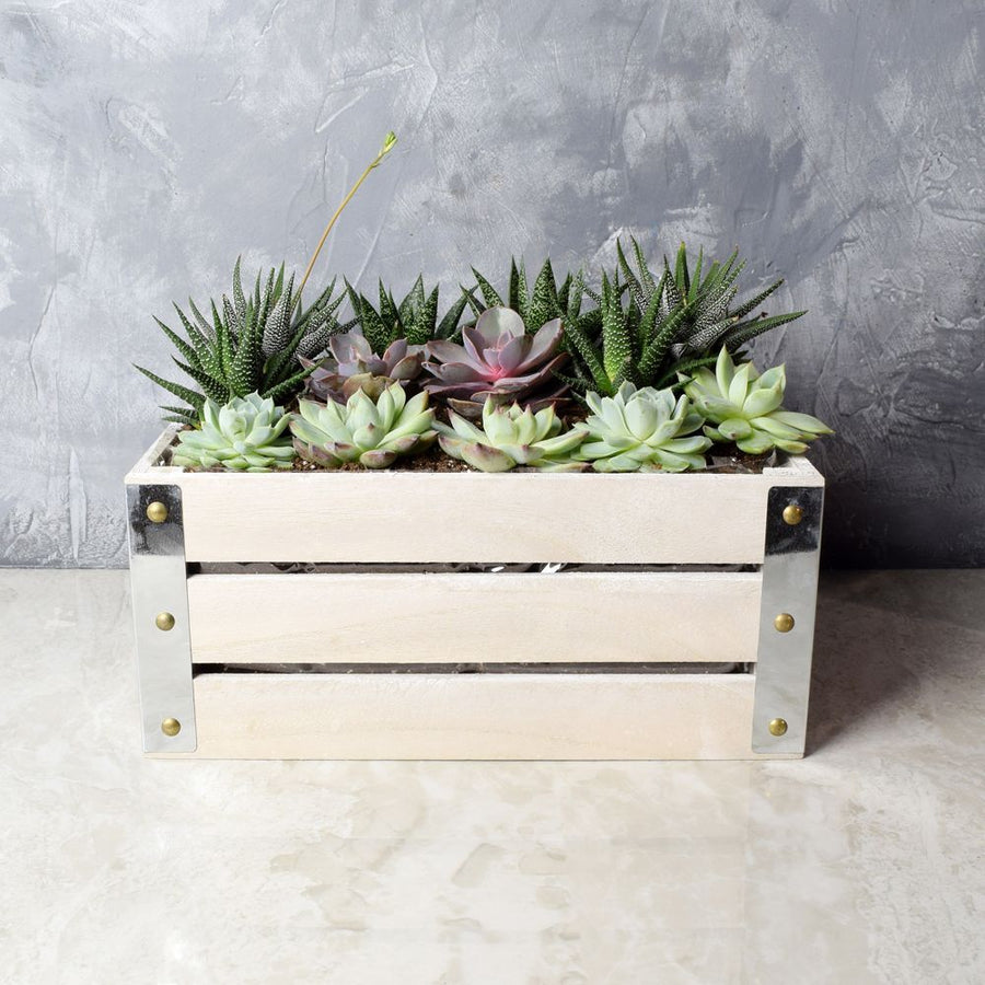 Amesbury Succulent Crate from Philadelphia Baskets - Philadelphia Delivery