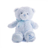 Blue Best Friend Baby Plush Bear from Philadelphia Baskets - Philadelphia Delivery