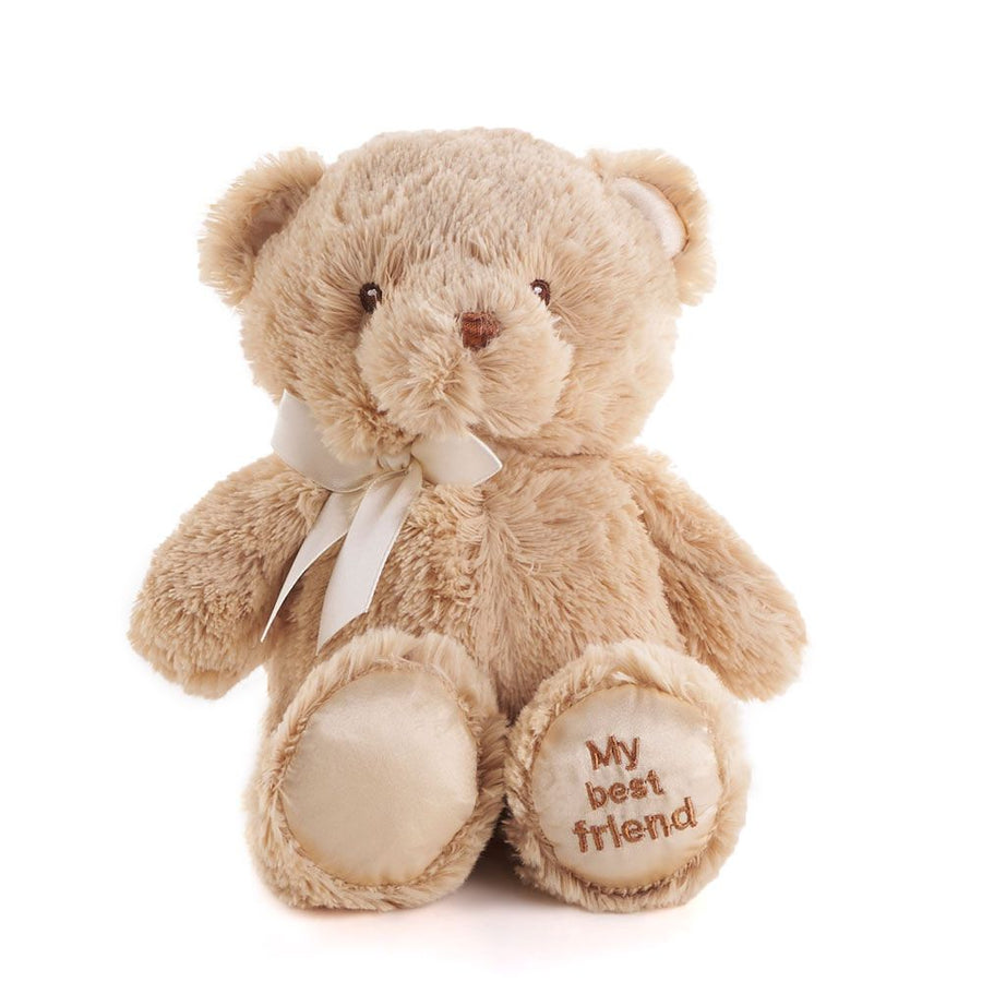 Brown Best Friend Baby Plush Bear from Philadelphia Baskets - Philadelphia Delivery