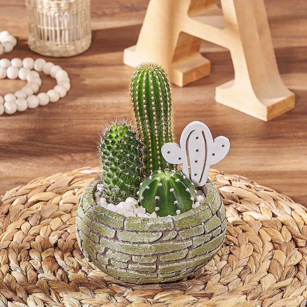 Triple Cactus Brick Pot – how the gift is presented