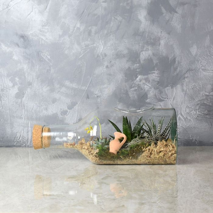 Cliffcrest Succulent Garden in a Bottle from Philadelphia Baskets - Plant Gift - Philadelphia Delivery.