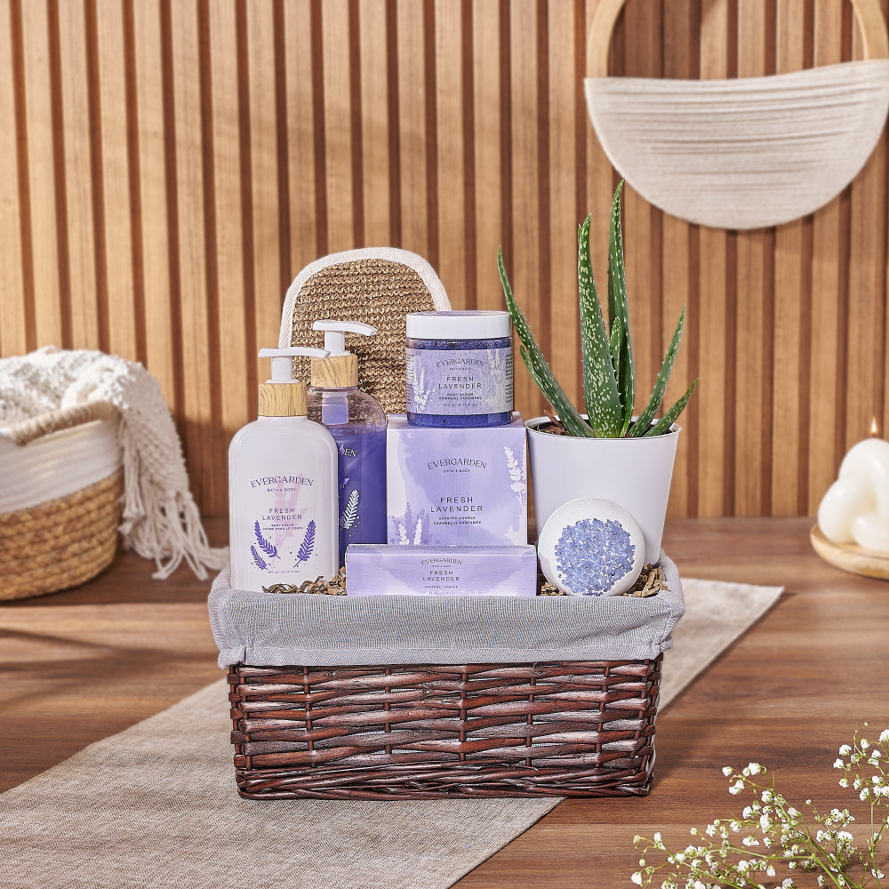 Natural Beauty Succulent &amp; Spa Gift Set – Spa gift baskets – Philadelphia delivery