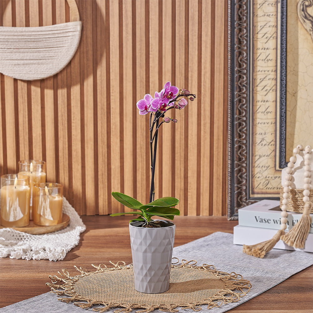 Pink Orchid in Planter – how the gift is presented