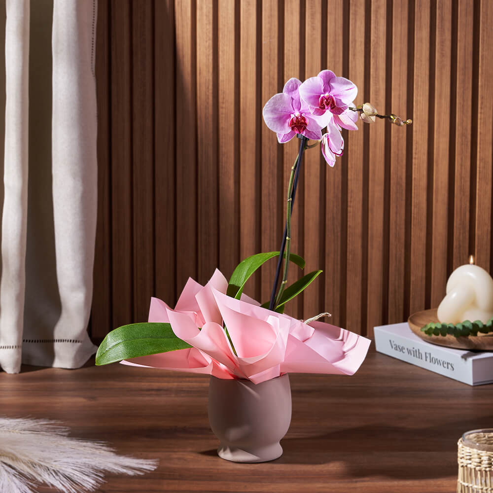 5-Inch Ceramic Potted Phalaenopsis Orchid – how the gift is presented