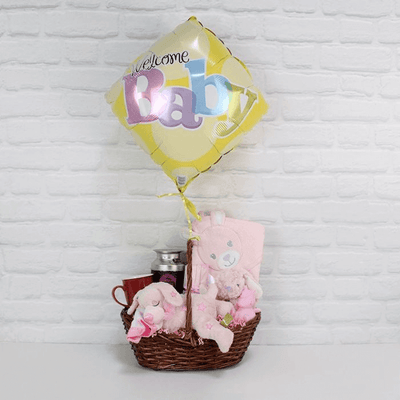 Welcome Newborn Baby Girl Gift Basket from Philadelphia Baskets - Philadelphia Delivery