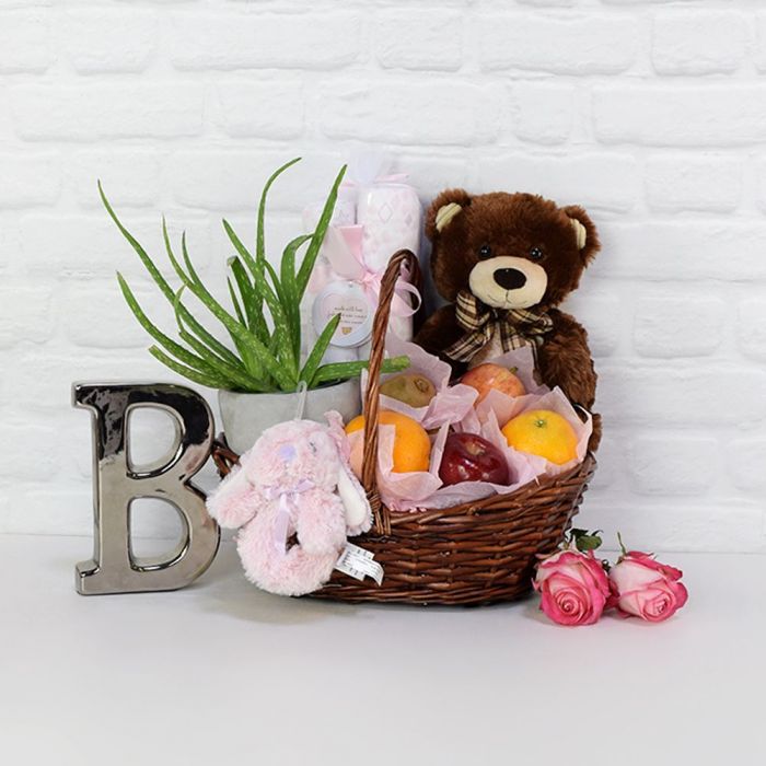 Welcome Home Baby Girl Pink Deluxe Gift Basket | Buy Now